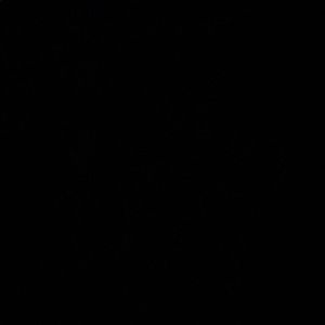 Meet your Posher, Fatou diawara